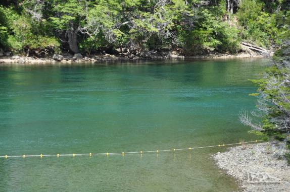 As águas esverdeadas de remanso de rio no Parque Nacional Los Alerces, ao norte de Trevelin, na patagônia argentina